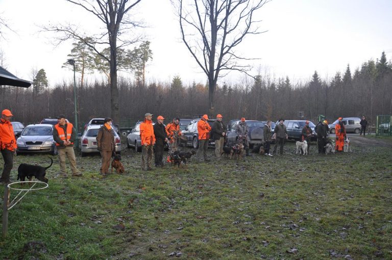 Międzynarodowy Konkurs Oceny Pracy Psów Dzikarzy w Naturalnych Warunkach 25.11.2017  - 