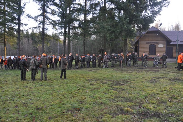 Międzynarodowy Konkurs Oceny Pracy Psów Dzikarzy w Naturalnych Warunkach 25.11.2017  - 