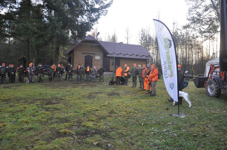 Międzynarodowy Konkurs Oceny Pracy Psów Dzikarzy w Naturalnych Warunkach 25.11.2017  - 