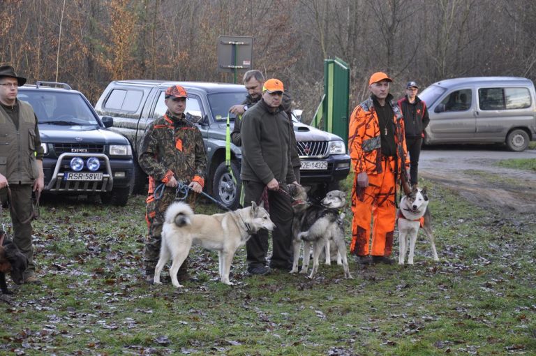 Międzynarodowy Konkurs Oceny Pracy Psów Dzikarzy w Naturalnych Warunkach 25.11.2017  - 