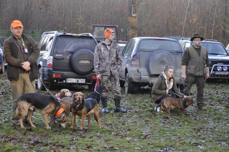 Międzynarodowy Konkurs Oceny Pracy Psów Dzikarzy w Naturalnych Warunkach 25.11.2017  - 