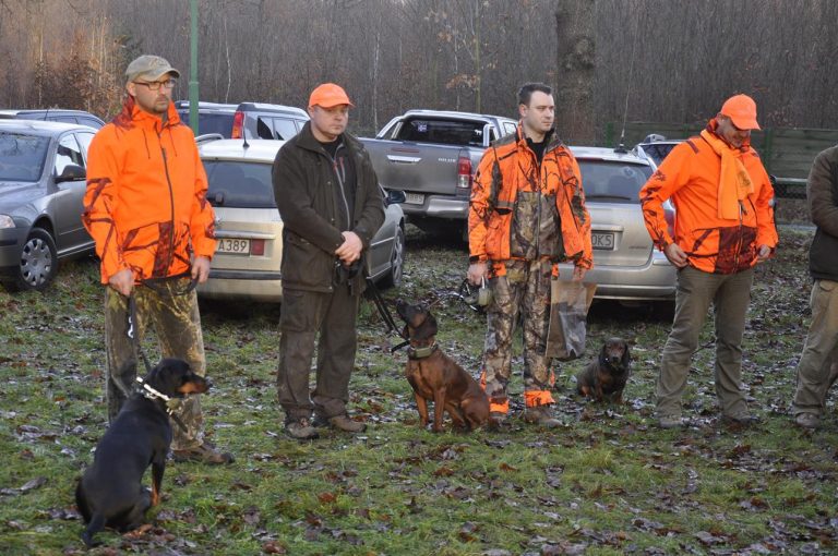 Międzynarodowy Konkurs Oceny Pracy Psów Dzikarzy w Naturalnych Warunkach 25.11.2017  - 