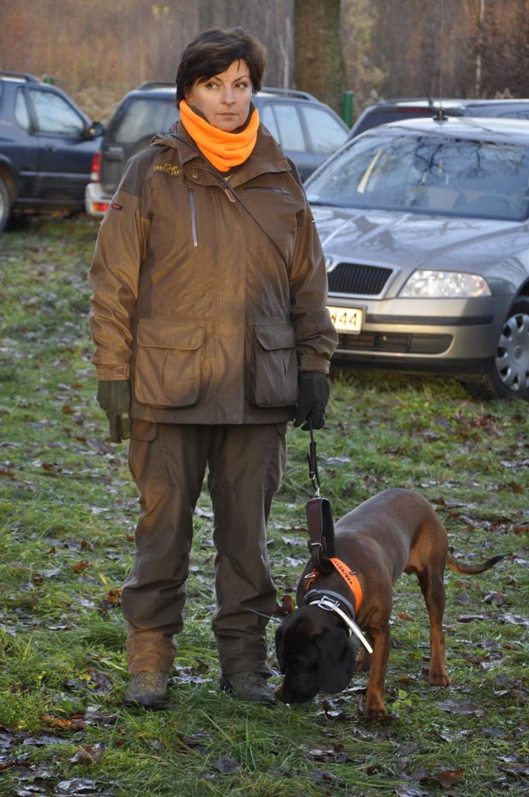 Międzynarodowy Konkurs Oceny Pracy Psów Dzikarzy w Naturalnych Warunkach 25.11.2017  - 