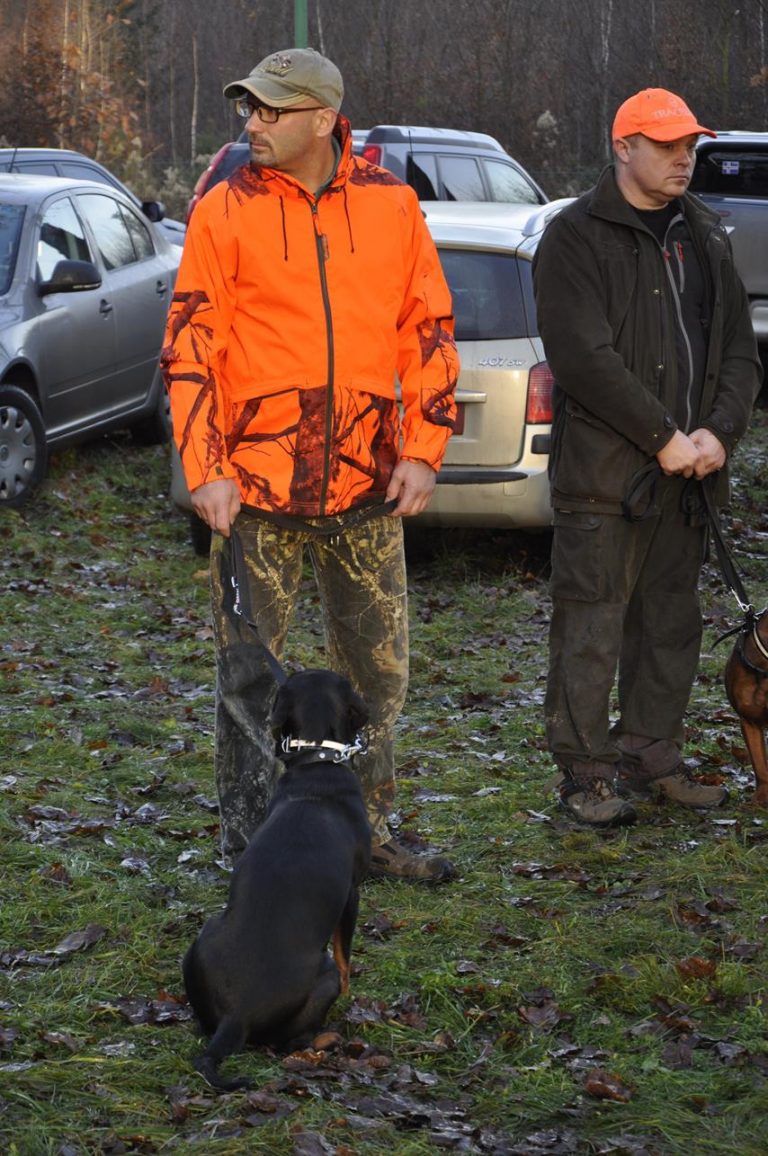 Międzynarodowy Konkurs Oceny Pracy Psów Dzikarzy w Naturalnych Warunkach 25.11.2017  - 