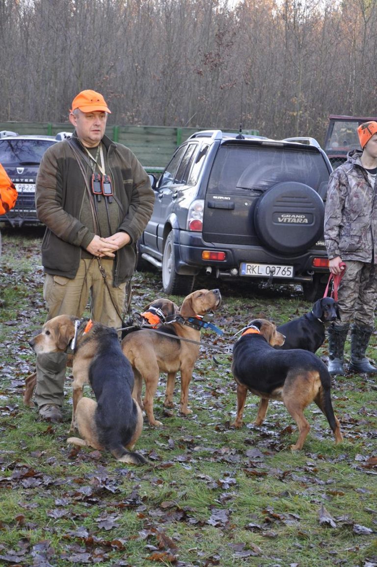 Międzynarodowy Konkurs Oceny Pracy Psów Dzikarzy w Naturalnych Warunkach 25.11.2017  - 