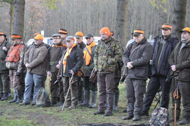 Międzynarodowy Konkurs Oceny Pracy Psów Dzikarzy w Naturalnych Warunkach 25.11.2017  - 