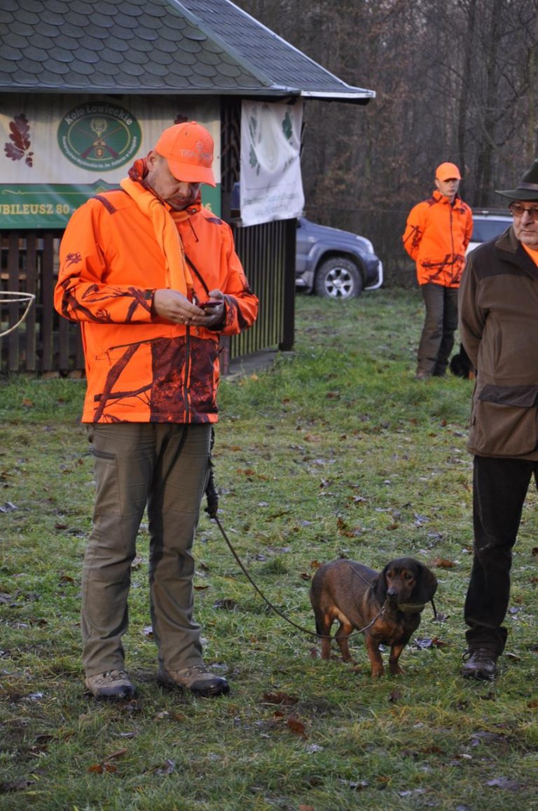 Międzynarodowy Konkurs Oceny Pracy Psów Dzikarzy w Naturalnych Warunkach 25.11.2017  - 