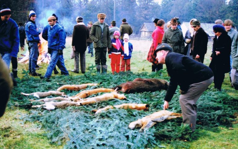 Historia koła w fotografii  - 