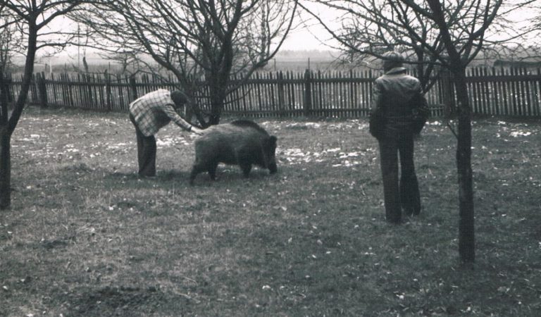 Historia koła w fotografii  - 