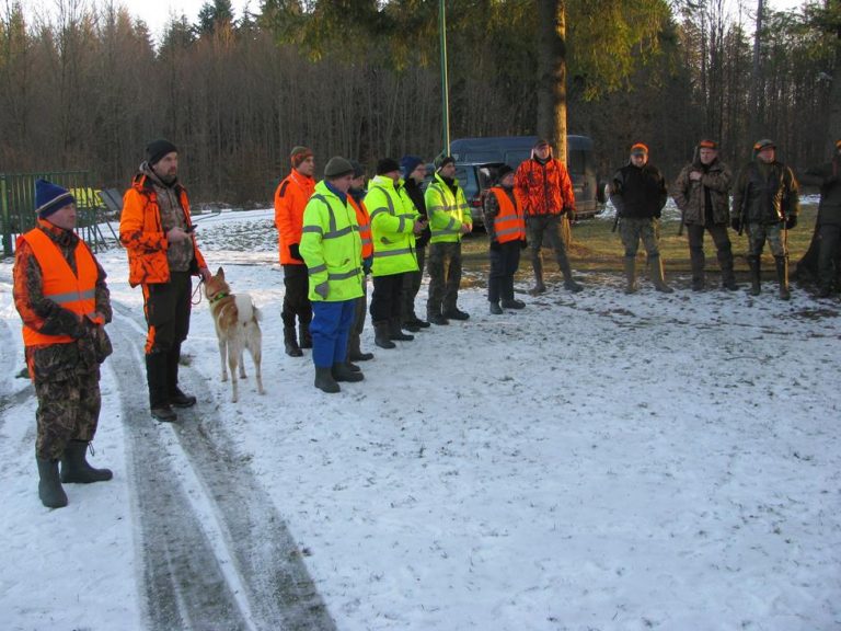 Ostatnie polowanie zbiorowe w sezonie 2021/2022  - 