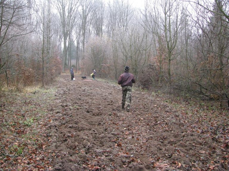 Dokarmiamy zwierzęta w łowisku – 19.11.2019r.  - 