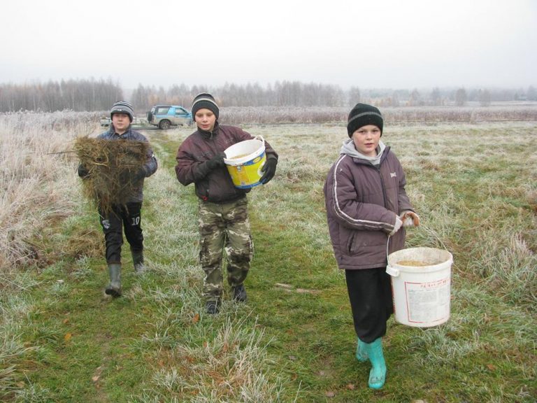 Dokarmiamy zwierzęta w łowisku – 19.11.2019r.  - 