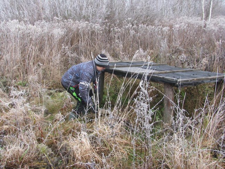 Dokarmiamy zwierzęta w łowisku – 19.11.2019r.  - 