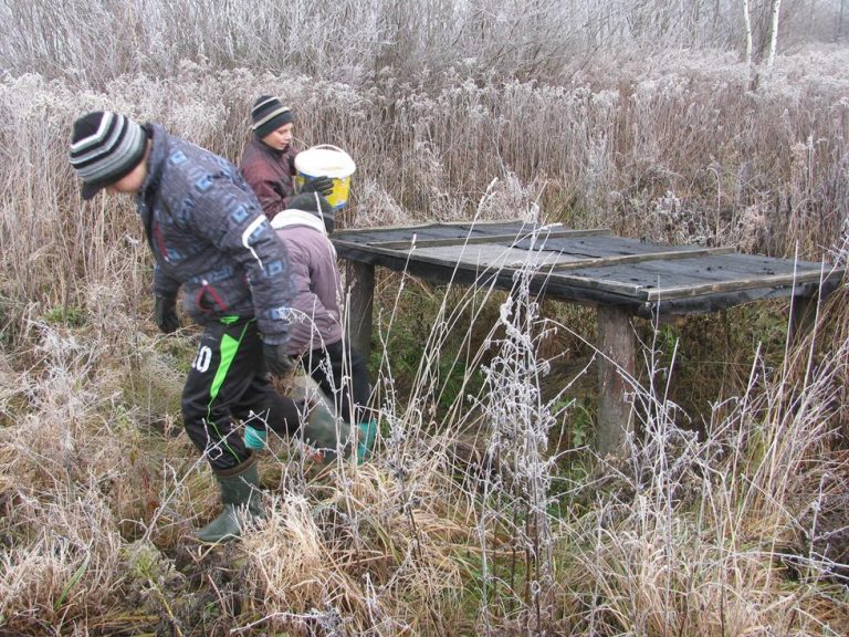 Dokarmiamy zwierzęta w łowisku – 19.11.2019r.  - 