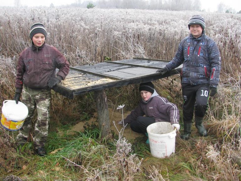 Dokarmiamy zwierzęta w łowisku – 19.11.2019r.  - 