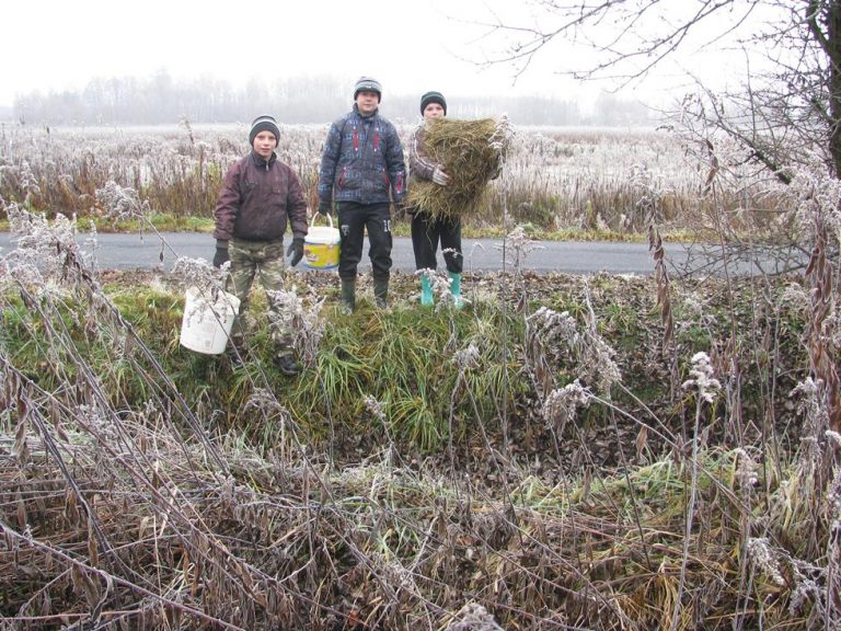 Dokarmiamy zwierzęta w łowisku – 19.11.2019r.  - 