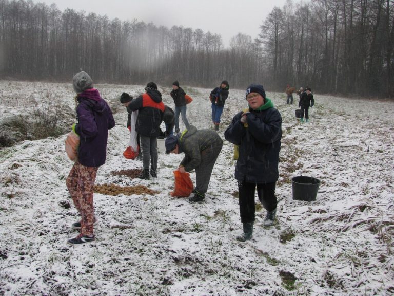 Dokarmiamy zwierzęta leśne – 16.12.2017r.  - 