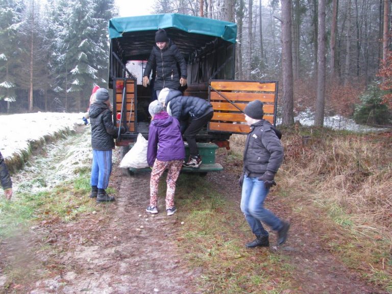 Dokarmiamy zwierzęta leśne – 16.12.2017r.  - 