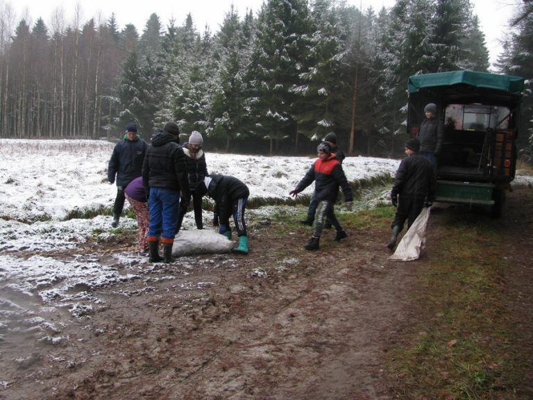 Dokarmiamy zwierzęta leśne – 16.12.2017r.  - 