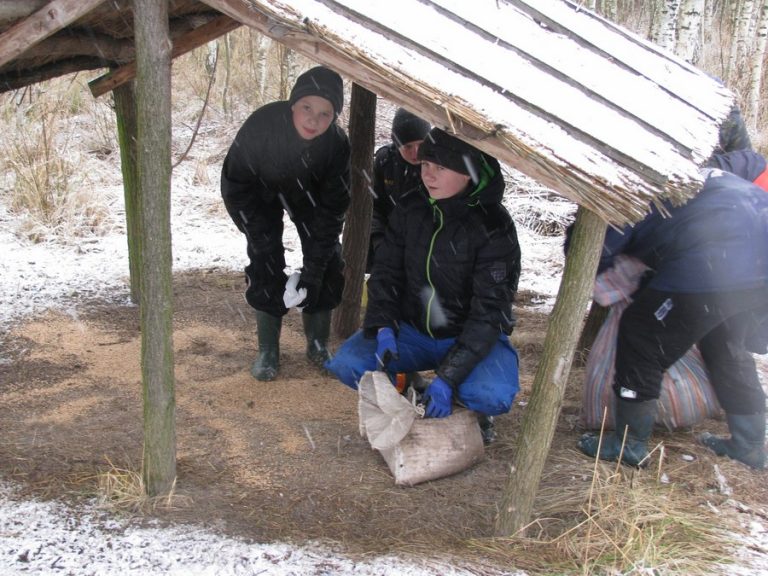 Dokarmiamy zwierzęta leśne – 16.12.2017r.  - 