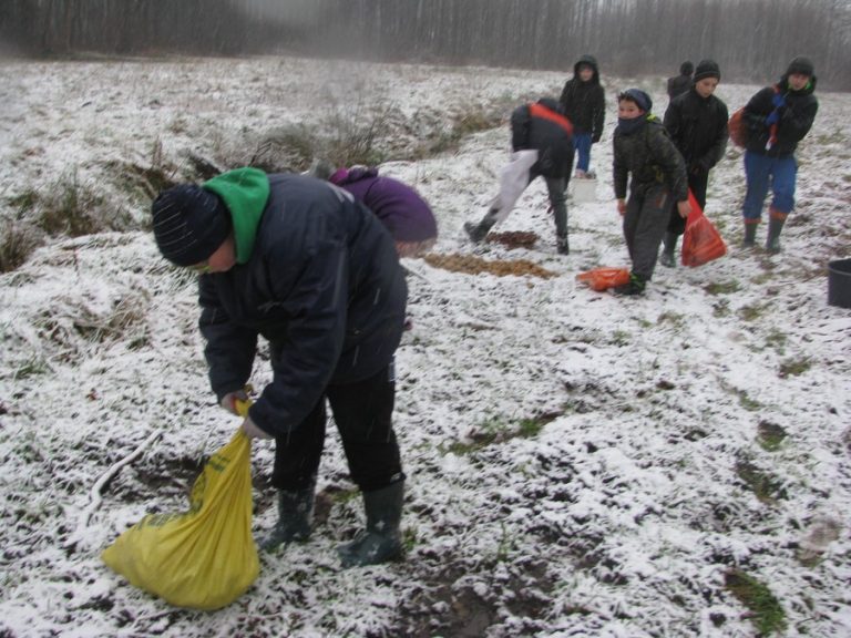 Dokarmiamy zwierzęta leśne – 16.12.2017r.  - 