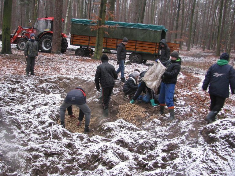 Dokarmiamy zwierzęta leśne – 16.12.2017r.  - 