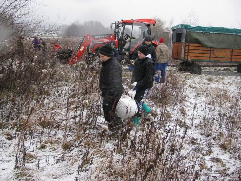 Dokarmiamy zwierzęta leśne – 16.12.2017r.  - 