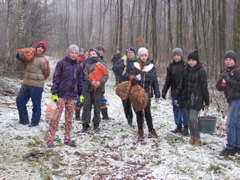 Dokarmiamy zwierzęta leśne – 16.12.2017r.  - 