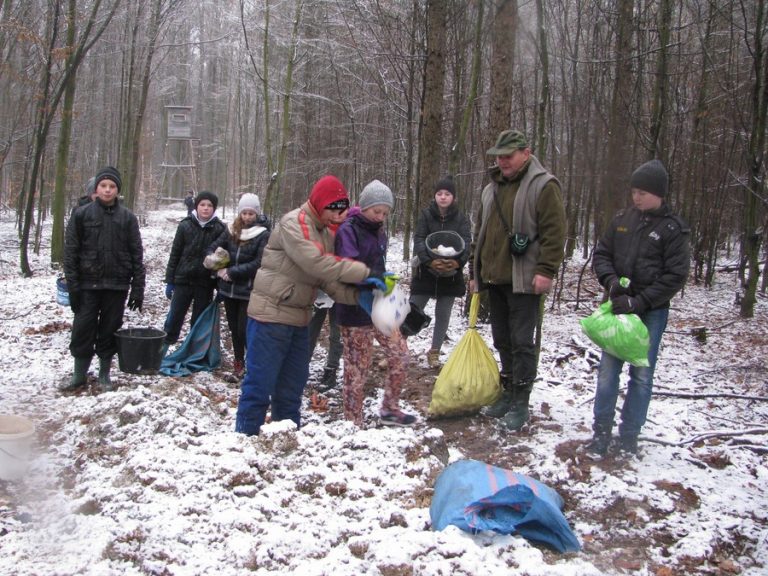 Dokarmiamy zwierzęta leśne – 16.12.2017r.  - 