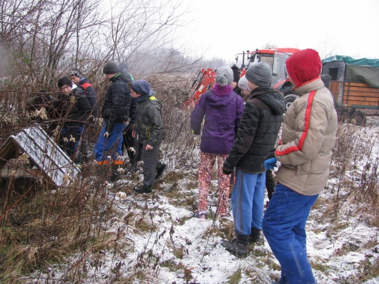 Dokarmiamy zwierzęta leśne – 16.12.2017r.  - 