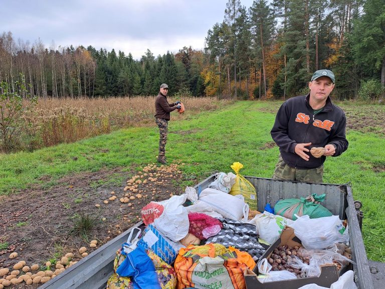 Młodzież pomaga zwierzynie leśnej przetrwać zimę .  - 