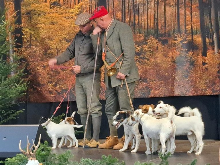Hubertus Okręgu Rzeszowskiego 26 – 27.10.2024 r.  - 