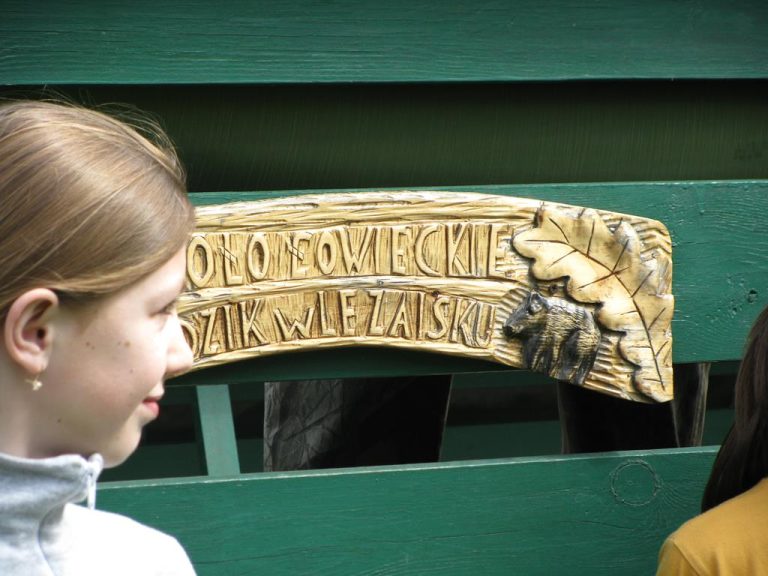 Myśliwi razem z młodzieżą szkolną sprzątają las  - 