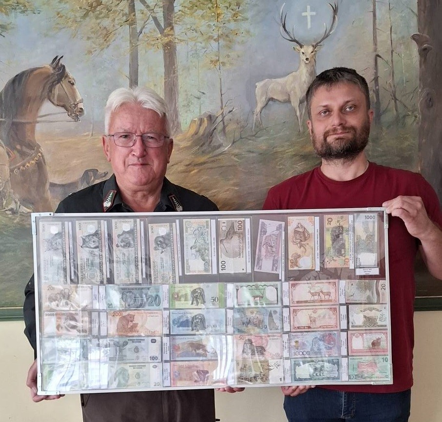 Kolekcja banknotów i monet