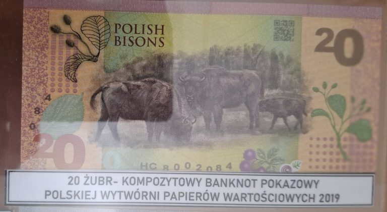 Kolekcja banknotów i monet  - 