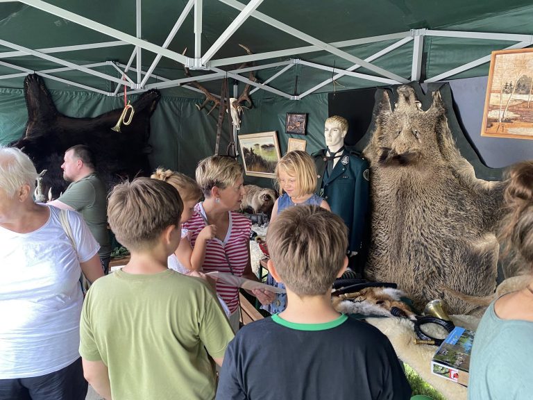 Festiwal Miodu i Kultury Ludowej  - 