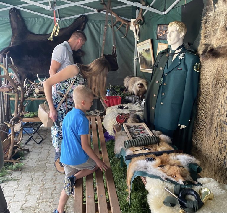 Festiwal Miodu i Kultury Ludowej  - 