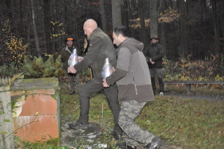 Rozpoczęcie sezonu polowań zbiorowych 2025/2026  - 