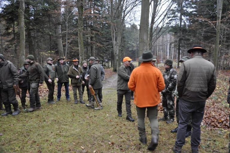 Rozpoczęcie sezonu polowań zbiorowych 2025/2026  - 