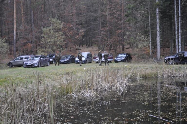 Rozpoczęcie sezonu polowań zbiorowych 2025/2026  - 