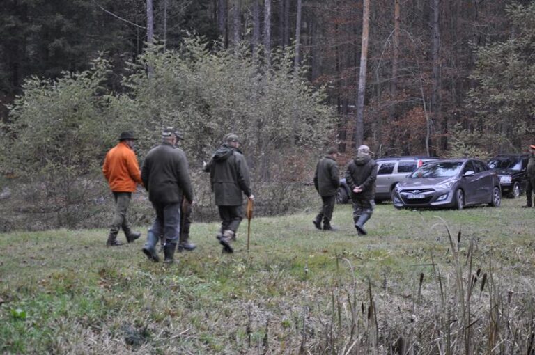 Rozpoczęcie sezonu polowań zbiorowych 2025/2026  - 