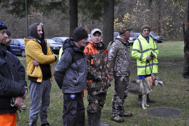 Rozpoczęcie sezonu polowań zbiorowych 2025/2026  - 