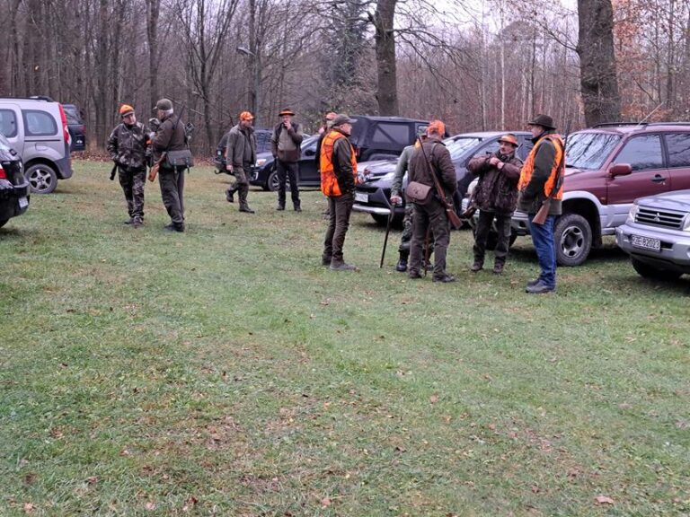 Rozpoczęcie sezonu polowań zbiorowych 2025/2026  - 