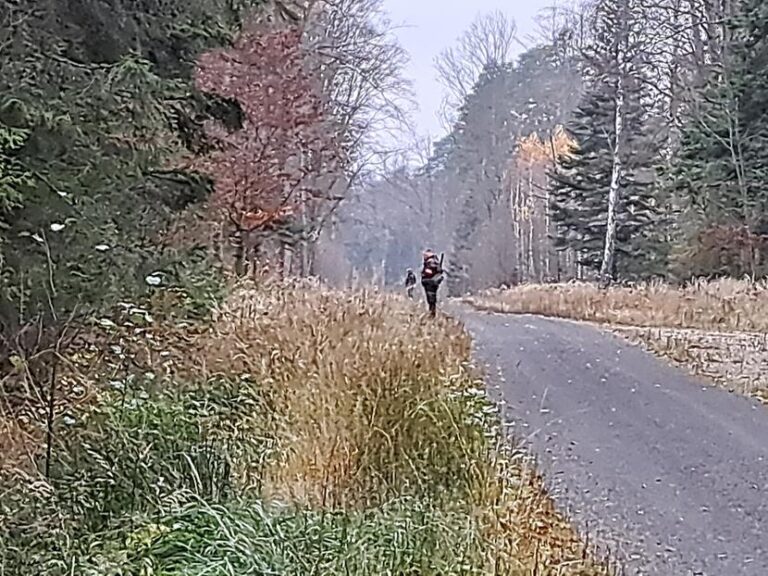 Rozpoczęcie sezonu polowań zbiorowych 2025/2026  - 