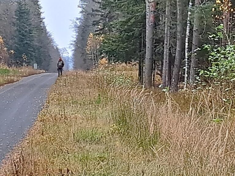 Rozpoczęcie sezonu polowań zbiorowych 2025/2026  - 