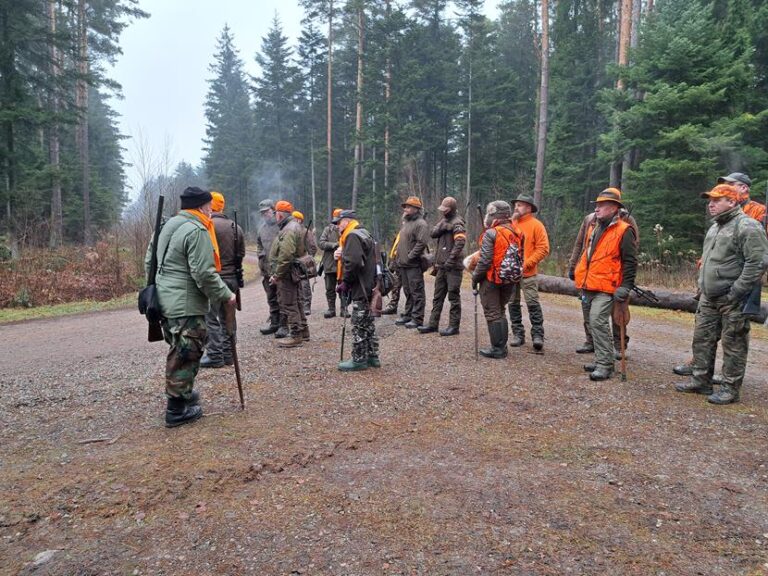 Polowanie zbiorowe – 20.12.2025 r.  - 