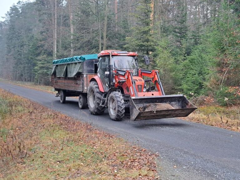 Polowanie zbiorowe – 20.12.2025 r.  - 