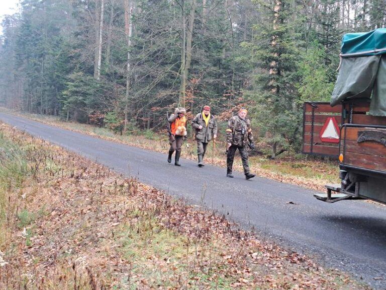 Polowanie zbiorowe – 20.12.2025 r.  - 