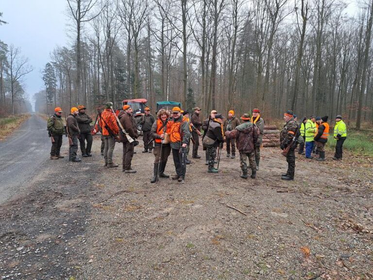 Polowanie zbiorowe – 20.12.2025 r.  - 