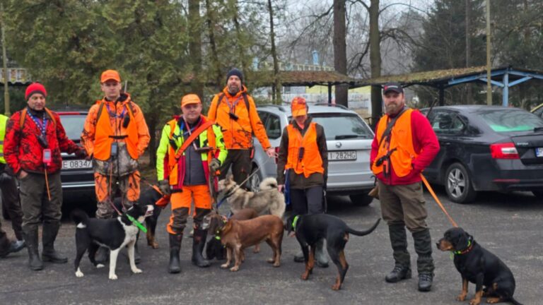 Akcja poszukiwania padłych dzików (ASF)  - 